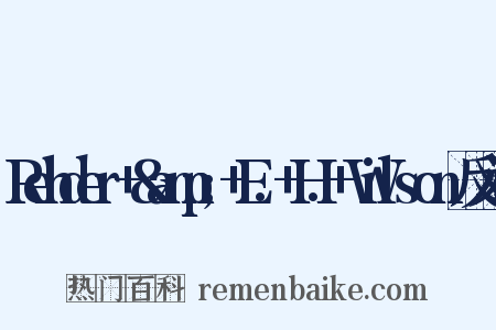 Rehder+&amp;+E.+H.+Wilson反义词是什么意思的图片
